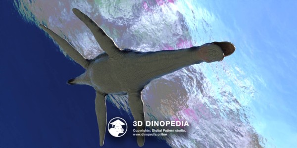 Cretaceous period Morturneria 3D Dinopedia