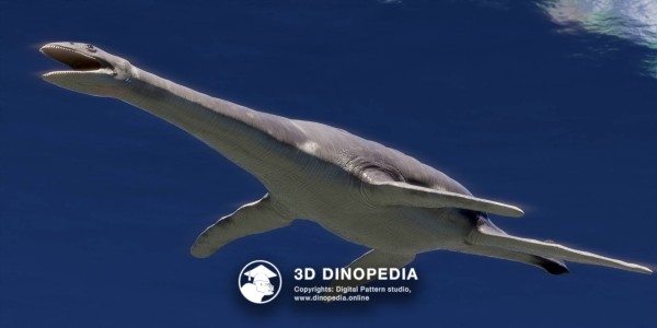 Cretaceous period Morturneria 3D Dinopedia