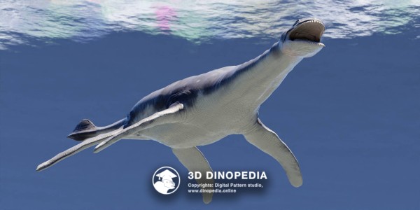Cretaceous period Morturneria 3D Dinopedia