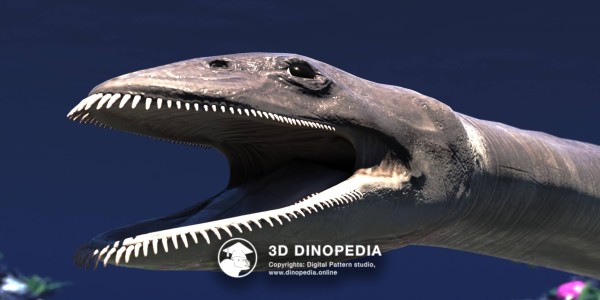 Cretaceous period Morturneria 3D Dinopedia