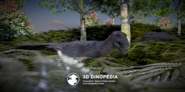 Cretaceous period Troodon 3D Dinopedia