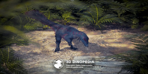 Cretaceous period Troodon 3D Dinopedia