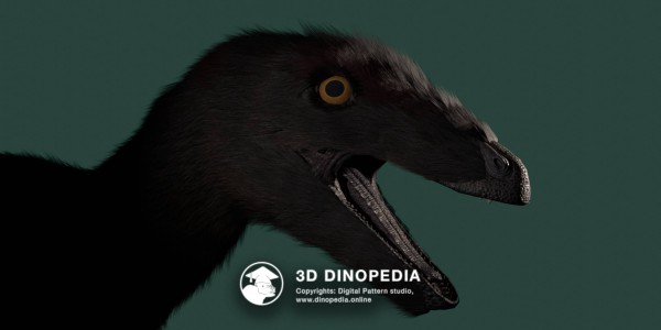 Cretaceous period Troodon 3D Dinopedia