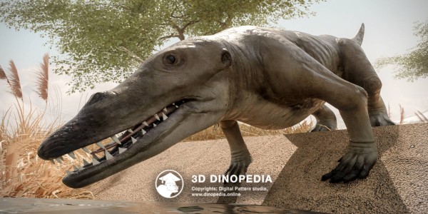 Paleogene period Ambulocetus 3D Dinopedia