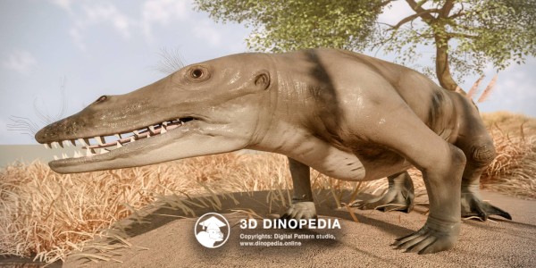 Paleogene period Ambulocetus 3D Dinopedia