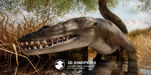 Paleogene period Ambulocetus 3D Dinopedia
