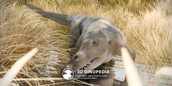 Paleogene period Ambulocetus 3D Dinopedia