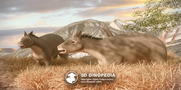 Paleogene period Eohippus 3D Dinopedia