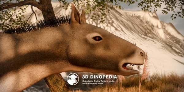 Paleogene period Eohippus 3D Dinopedia