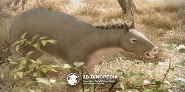 Paleogene period Eohippus 3D Dinopedia