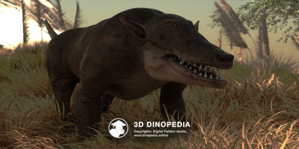 Paleogene period Pakicetus 3D Dinopedia