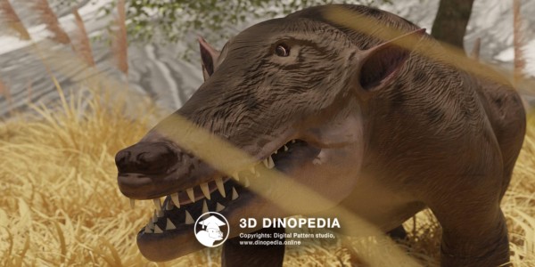 Paleogene period Pakicetus 3D Dinopedia
