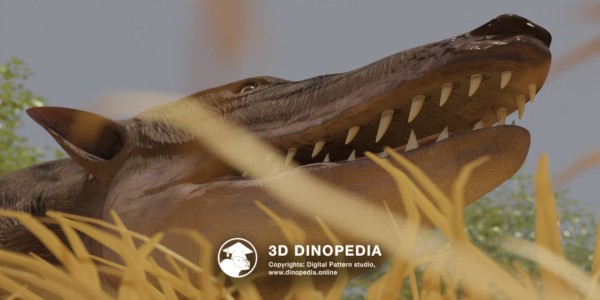 Paleogene period Pakicetus 3D Dinopedia