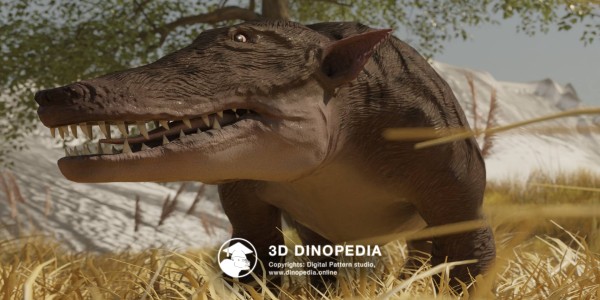 Paleogene period Pakicetus 3D Dinopedia