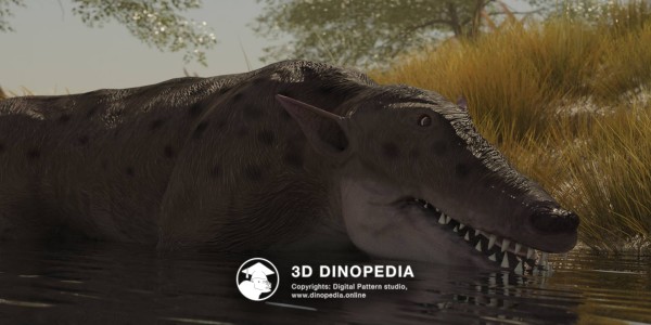 Paleogene period Pakicetus 3D Dinopedia