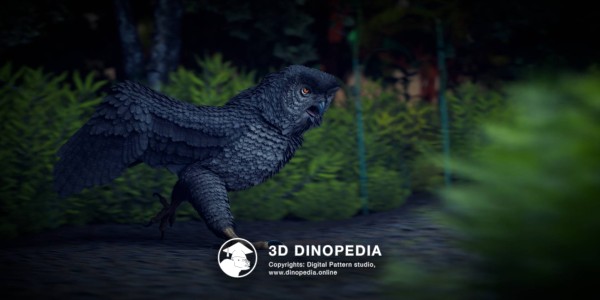 Quaternary period Ornimegalonyx 3D Dinopedia