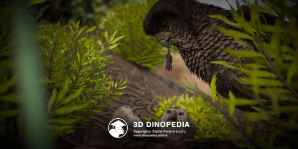 Quaternary period Ornimegalonyx 3D Dinopedia