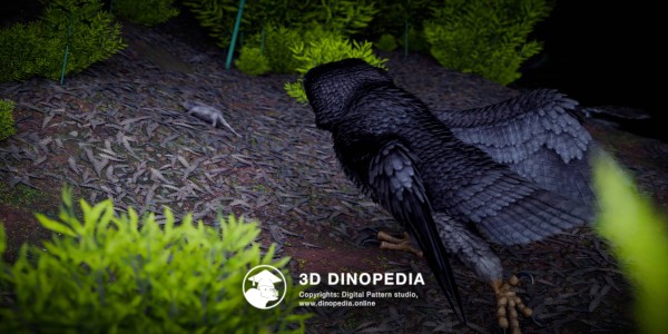 Quaternary period Ornimegalonyx 3D Dinopedia