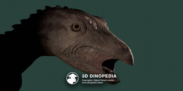 Jurassic period Scutellosaurus 3D Dinopedia