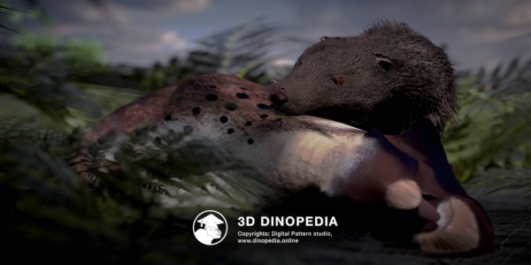 Cretaceous period Repenomamus 3D Dinopedia