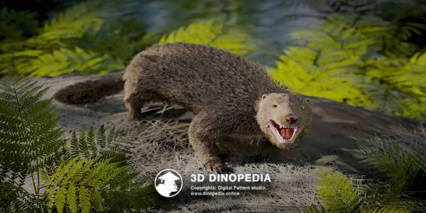 Cretaceous period Repenomamus 3D Dinopedia