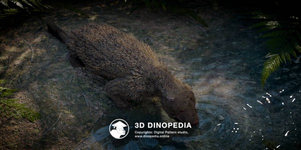Cretaceous period Repenomamus 3D Dinopedia