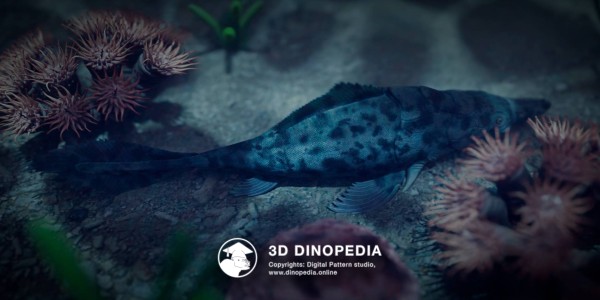 Devonian period Brindabellaspis 3D Dinopedia