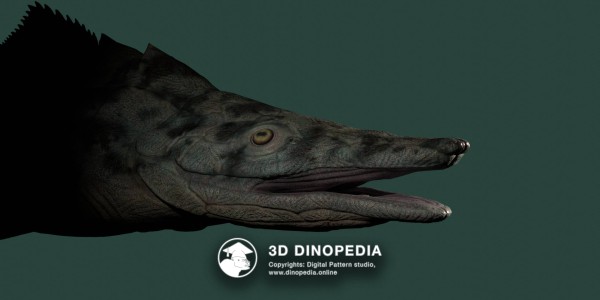 Devonian period Brindabellaspis 3D Dinopedia
