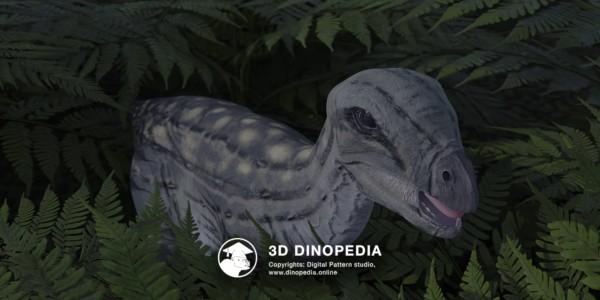 Cretaceous period Hypsilophodon 3D Dinopedia