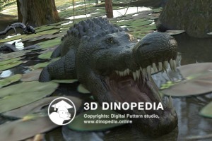 Cretaceous period Deinosuchus 3D Dinopedia