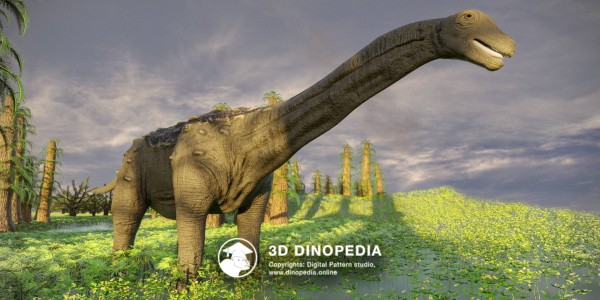 Cretaceous period Saltasaurus 3D Dinopedia