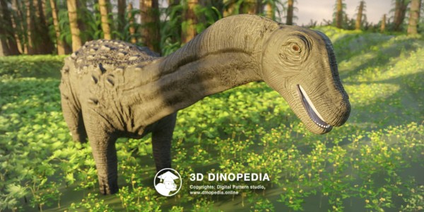 Cretaceous period Saltasaurus 3D Dinopedia
