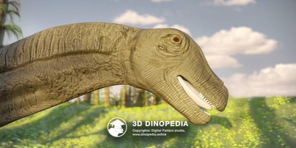 Cretaceous period Saltasaurus 3D Dinopedia