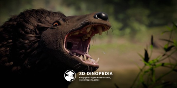 Paleogene period Andrewsarchus 3D Dinopedia