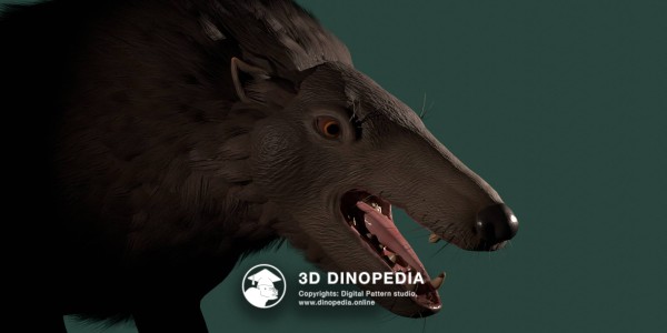 Paleogene period Andrewsarchus 3D Dinopedia
