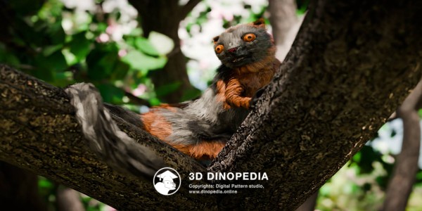 Paleogene period Darwinius 3D Dinopedia