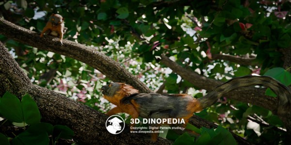 Paleogene period Darwinius 3D Dinopedia