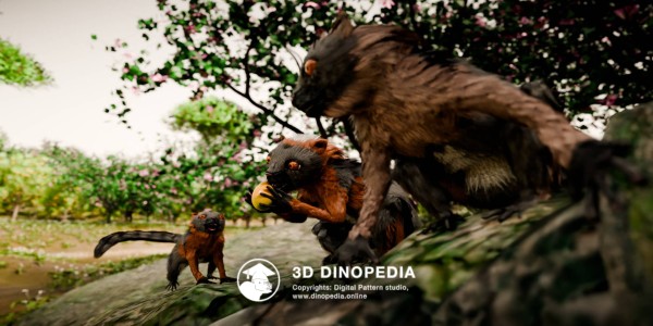 Paleogene period Darwinius 3D Dinopedia