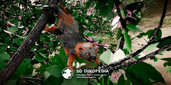Paleogene period Darwinius 3D Dinopedia