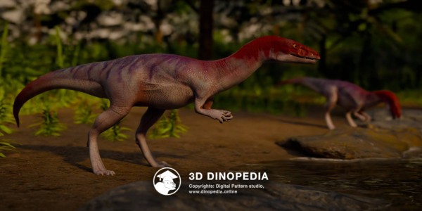 Triassic period Eoraptor 3D Dinopedia