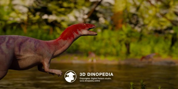 Triassic period Eoraptor 3D Dinopedia