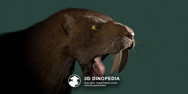 Quaternary period Smilodon 3D Dinopedia