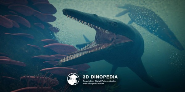 Cretaceous period Tylosaurus 3D Dinopedia