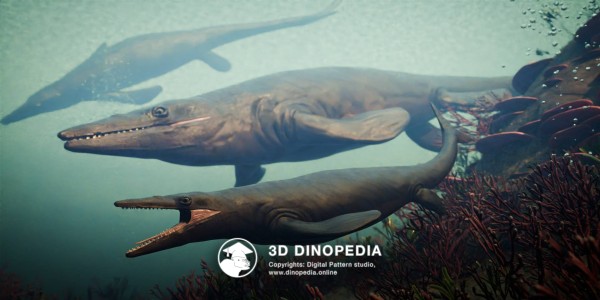 Cretaceous period Tylosaurus 3D Dinopedia