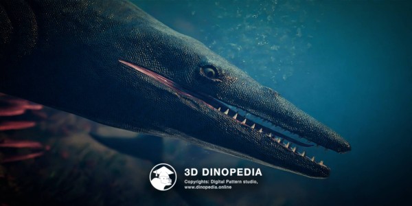 Cretaceous period Tylosaurus 3D Dinopedia