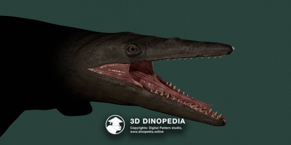 Cretaceous period Tylosaurus 3D Dinopedia
