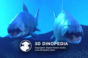 Devonian period Dunkleosteus 3D Dinopedia