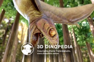 Jurassic period Anurognathus 3D Dinopedia