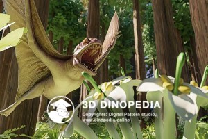 Jurassic period Anurognathus 3D Dinopedia