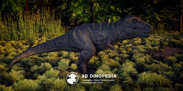 Cretaceous period Tarbosaurus 3D Dinopedia